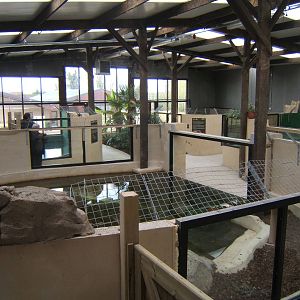 View inside the Large Crocodile House