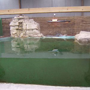 View on the Cuban Crocodile exhibit