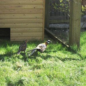 Moments after release, 19th April 2014