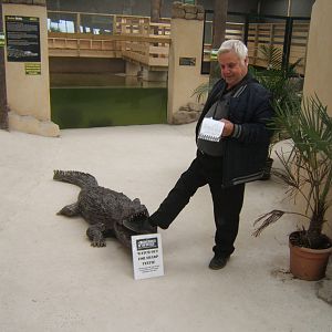 Crocodile gets Bongorob