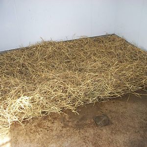 Another perfect bed, 19th April 2014