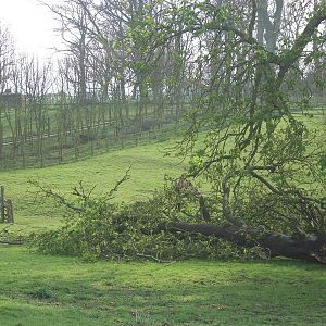 Phew, it missed the Llamas. 20th April 2014