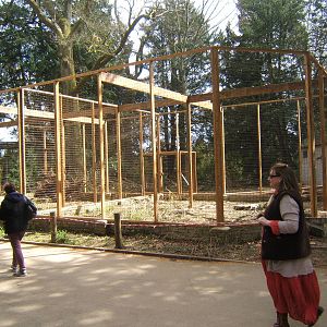 Re-building of some of the Owl aviarys