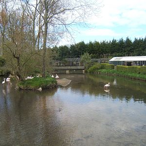 View towards the Toucan house and the Penguin enclosure