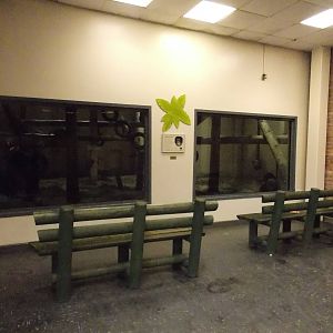 Chimpanzee indoor area viewing