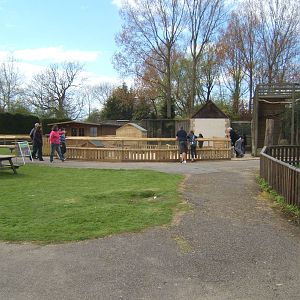 View towards the back of the Desert House