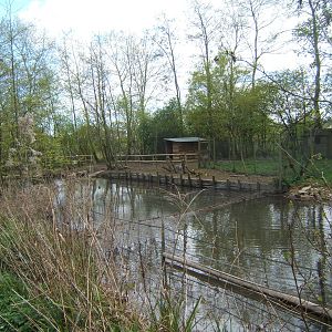View towards the new Common Rhea enclosure on the far bank on the river Win