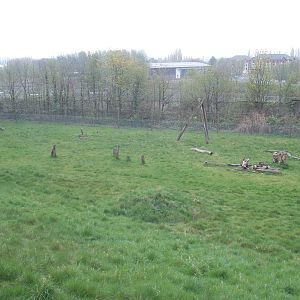 Far end of Chimp outdoor area