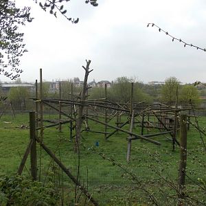 Chimpanzee outdoor area