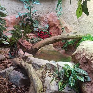 Reptile House exhibit