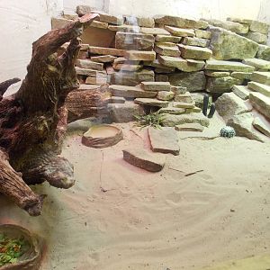 Reptile House exhibit