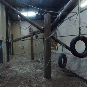 Orang Indoor Area