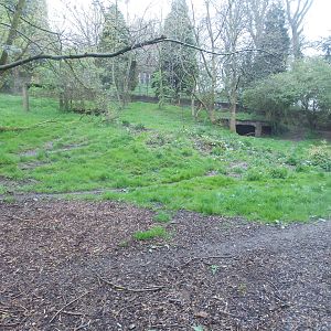 African Hunting Dog Enclosure