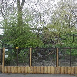 Asiatic Short-Clawed Otter exhibit