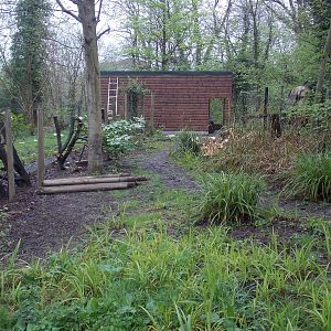 Ex-Cassowary exhibit