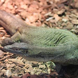 Mertens Water Monitor
