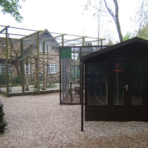 View of Orange-winged Amazon House