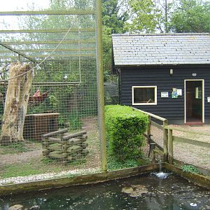 Black and White Ruffed Lemur House and part of the enclosure