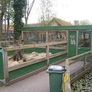 View of Meerkat house and enclosure