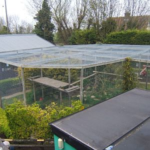 View of Puma enclosure from above