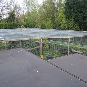 View of Lynx enclosure from above