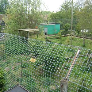 View of Tiger enclosure from above