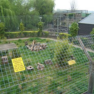 View of Tiger enclosure from above with Ibis aviary in background