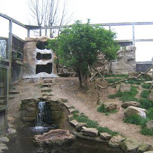 View of part of the Ibis Aviary