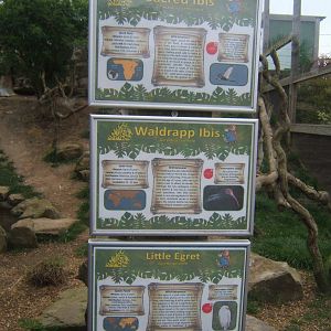 Signage for Ibis Aviary