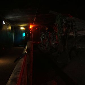 View inside the Nocturnal House