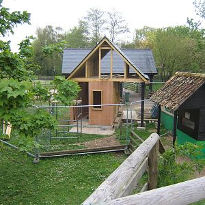 New house being built near the Raccoon enclosure