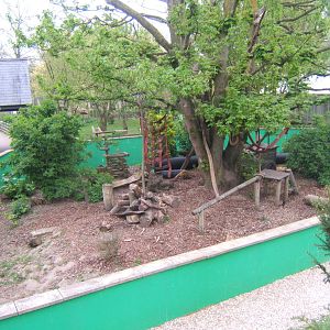View of Raccoon enclosure