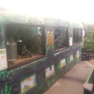 View of Reptile exhibits