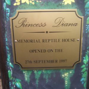 I have no idea what to say about this!!!