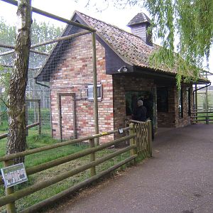 Vervet Monkey/Crab-eating Macaque House