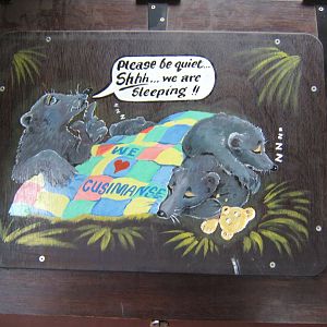 Artwork on the keeper excess to the Cusimanse sleeping quarters