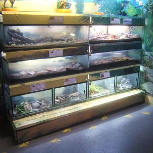 View inside Bug World