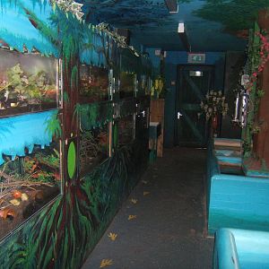 View inside Bug World