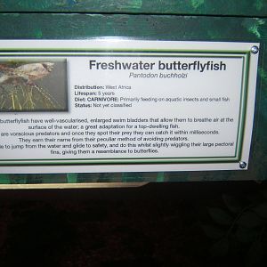Signage in Bug World