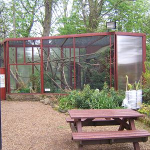 View of Mongoose Lemur enclosure