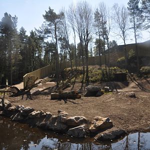 Extended gorilla enclosure