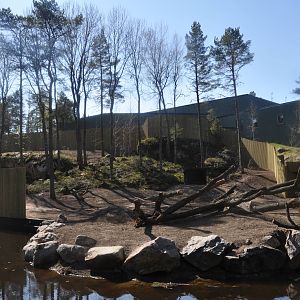 Extended gorilla enclosure