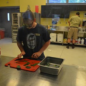 LAIR: A Behind The Scenes View