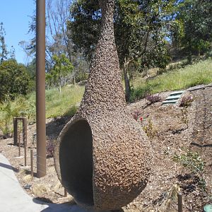 Orapendola nest play interactive