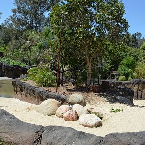 Central American Tapir Habitat