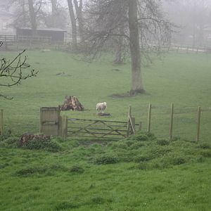 Robyn is on Willow's plinth! 25th April 2013