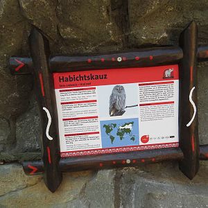 Ural owl sign, April 2014.