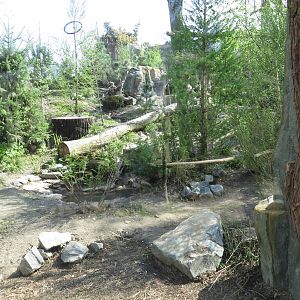 Leopard enclosure, April 2014.