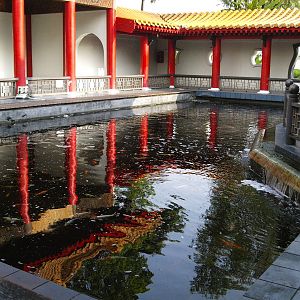 Carp pool just before entrance