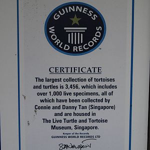 Guinness world record certificate